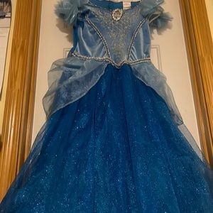 Cinderella costume